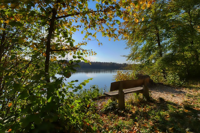 超越表面的 超越表面的
