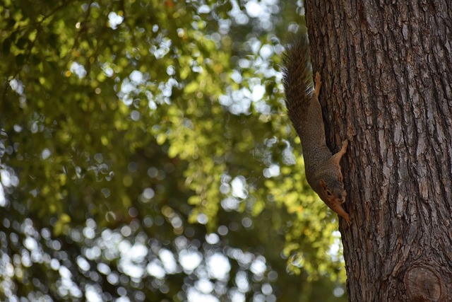 是实现卓越 是实现卓越