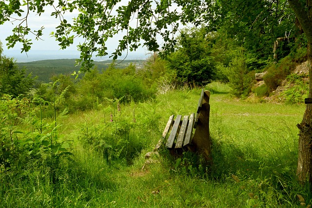 中的佼佼者 中的佼佼者