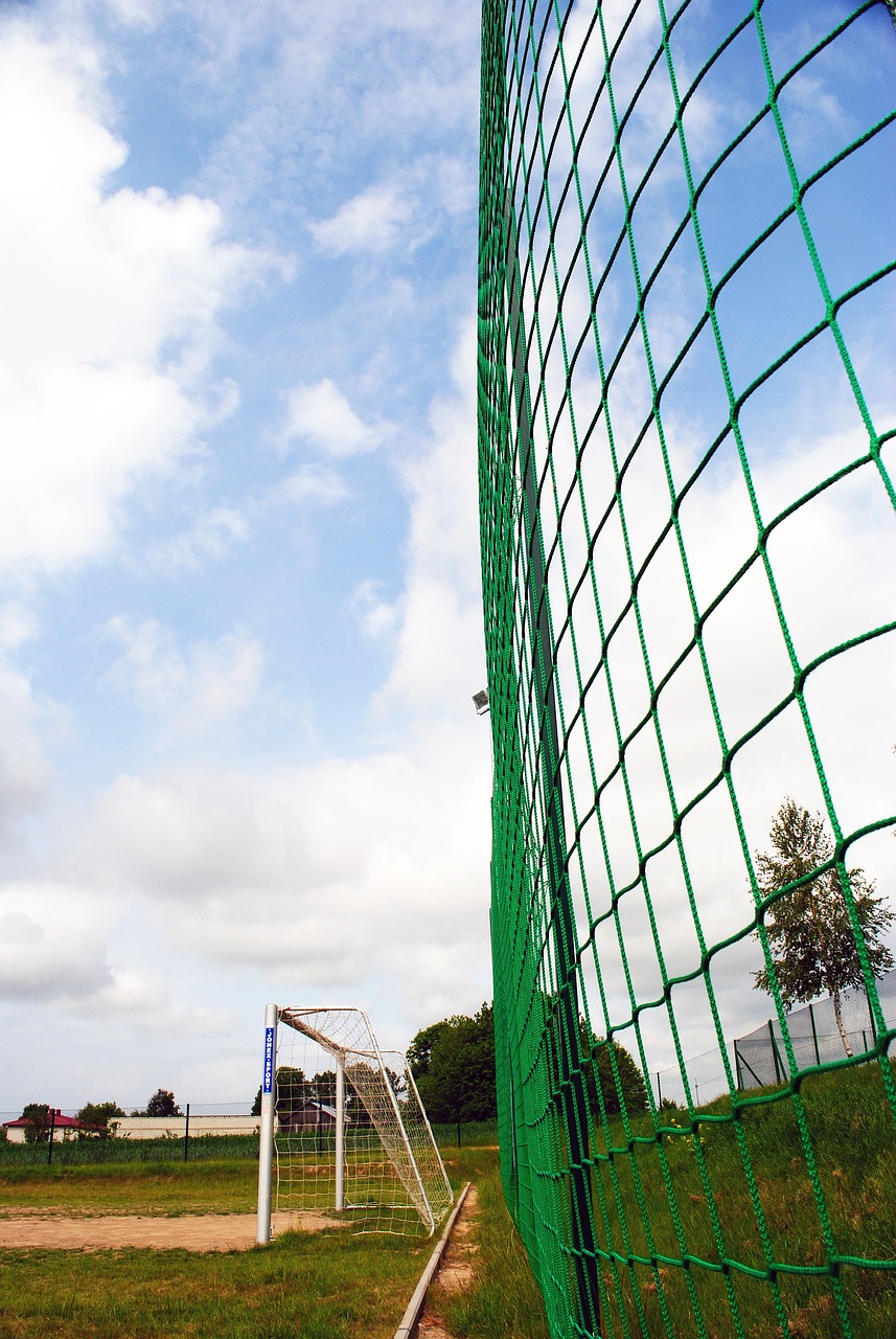 阶段总共扑 阶段总共扑