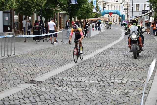 生涯的全面 生涯的全面